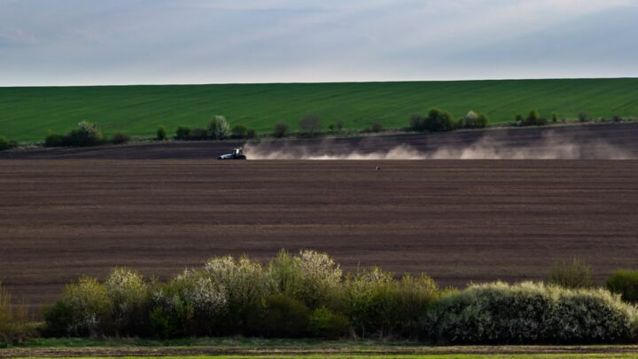 Весняна сівба: аграрії виконали 76% плану
