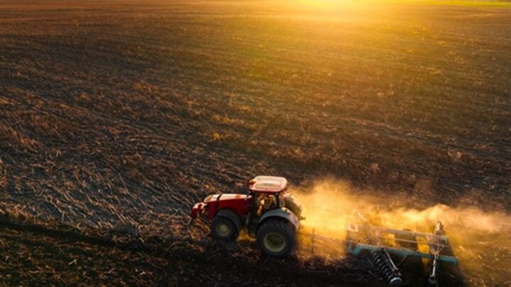 Україна нині засіяла 87% ярих зернових та зернобобових від плану