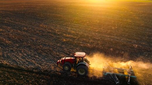 Весняна сівба: аграрії виконали 97% плану