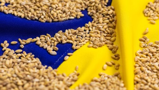Став відомий найбільший імпортер агропродукції України серед країн ЄС