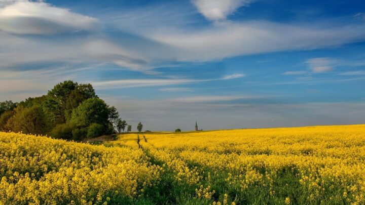 Гороскоп для всіх знаків зодіаку на 9 липня 2025 року
