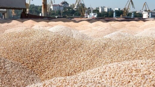 Україна продала мільйон тонн пшениці нового врожаю
