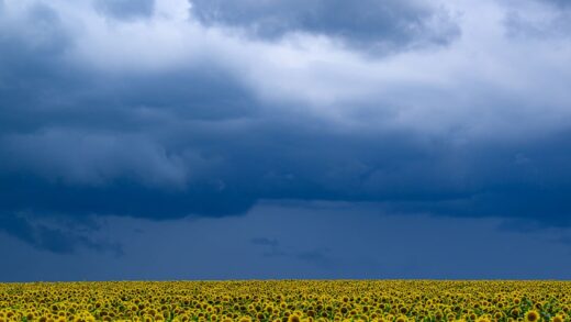 В Україні прогнозують до +33°, подекуди грози та град