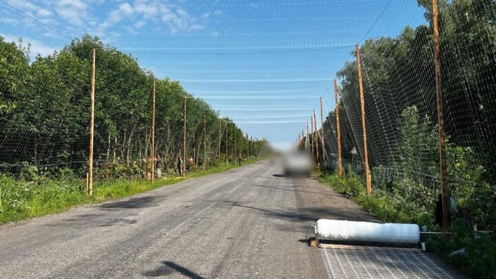 Над дорогами Сумщини зводять "антидронові тунелі"