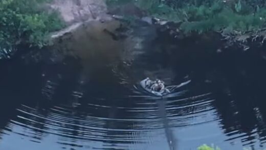 ЗСУ зірвали спробу наступу росіян на Донеччині