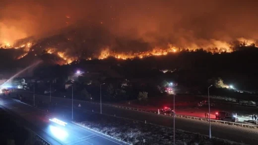 Декілька районів Туреччини охопили масштабні лісові пожежі (фото, відео)