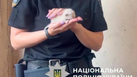Поліція та зоопатруль провели рятувальну операцію для котів у Києві (фото)