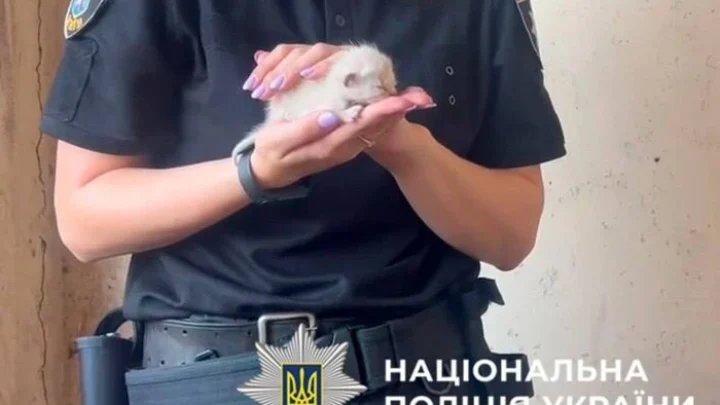 Поліція та зоопатруль провели рятувальну операцію для котів у Києві (фото)