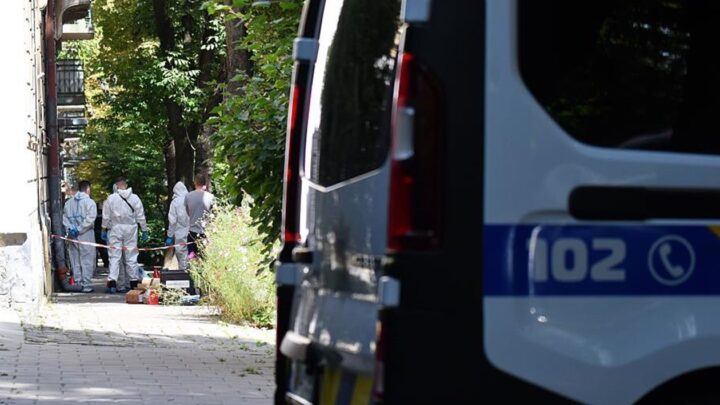 Вбивство Парубія: оприлюднено деталі розслідування