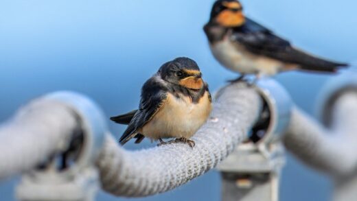 Гороскоп для всіх знаків зодіаку на 16 вересня 2025 року