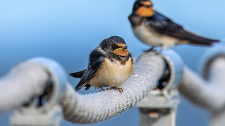 Гороскоп для всіх знаків зодіаку на 16 вересня 2025 року