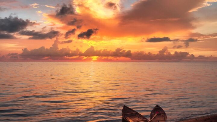 Гороскоп для всіх знаків зодіаку на 17 вересня 2025 року