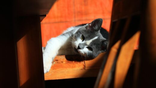 Гороскоп для всіх знаків зодіаку на 18 вересня 2025 року