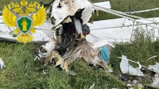 У Рязанській області розбився легкомоторний літак: пілот загинув (фото)