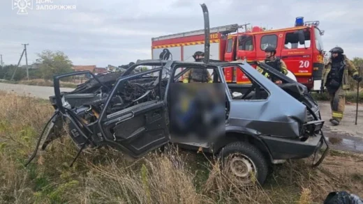 У Запорізькій області російський дрон вбив подружжя в автівці
