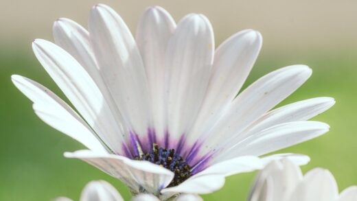 Гороскоп для всіх знаків зодіаку на 20-21 вересня 2025 року