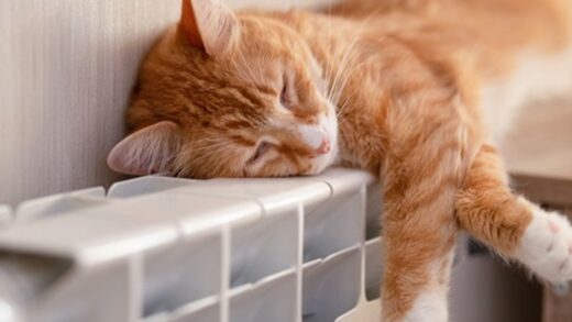 Стало відомо, коли включать опалення в Україні