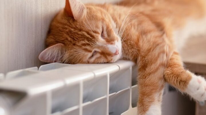 Стало відомо, коли включать опалення в Україні