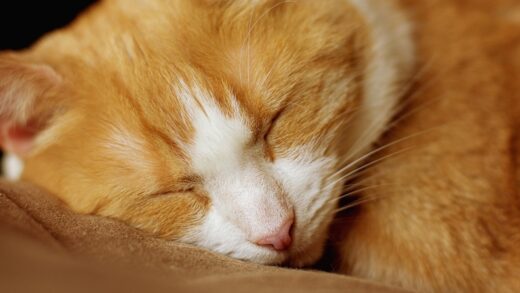 Гороскоп для всіх знаків зодіаку на 1 жовтня 2025 року