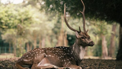 Гороскоп для всіх знаків зодіаку на 2 жовтня 2025 року