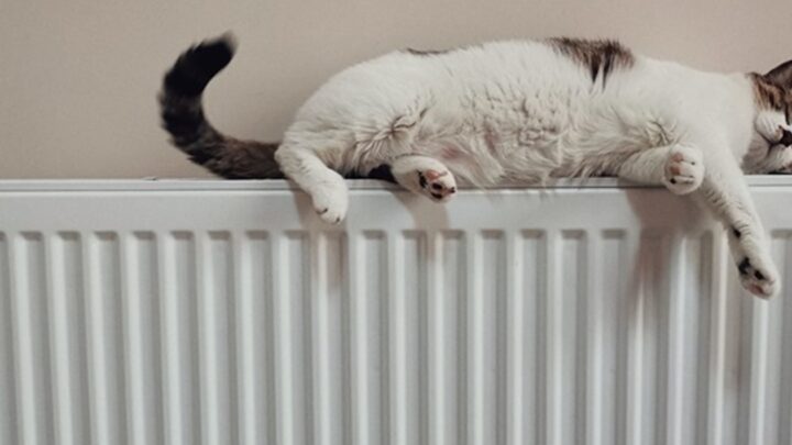 Стало відомо, коли в Києві стартує опалювальний сезон