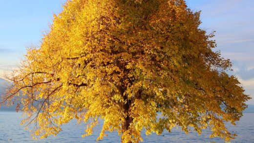 Гороскоп для всіх знаків зодіаку на 9 жовтня 2025 року