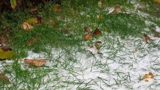 Під Києвом випав перший сніг - соцмережі