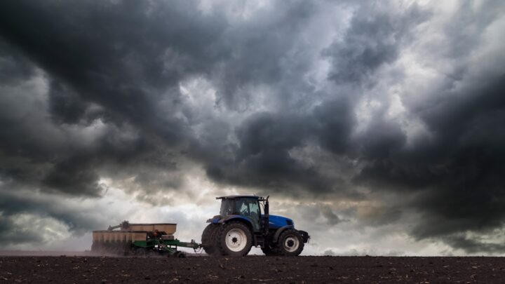 Українські аграрії засіяли 74% озимих культур