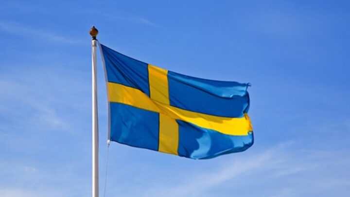 Швеція надасть Україні додаткові €35 млн зимової підтримки