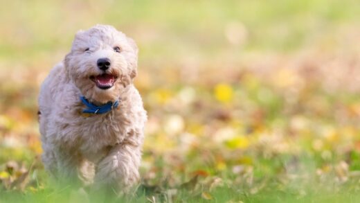 Гороскоп для всіх знаків зодіаку на 23 жовтня 2025 року