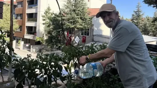 Турок перетворив 8-метрову терасу на город із 200 рослинами, щоб боротися зі стресом