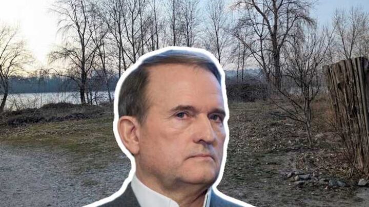 Прокуратура судиться за 40 гектарів на Позняках із компанією, пов’язаною з оточенням Медведчука