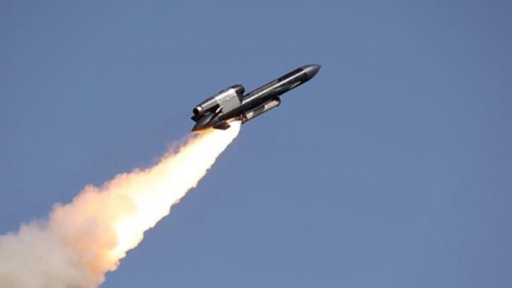 Були труднощі: Зеленський розповів про Фламінго