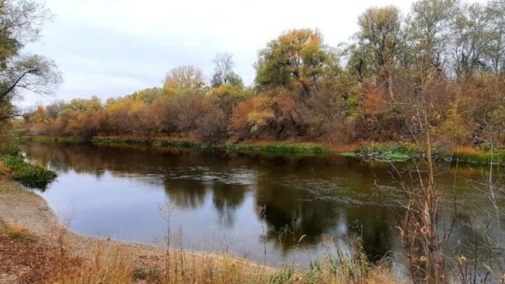 Прорив дамби РФ: чи є загроза на території України