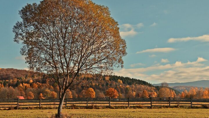 Гороскоп для всіх знаків зодіаку на вихідні 8-9 листопада 2025 року