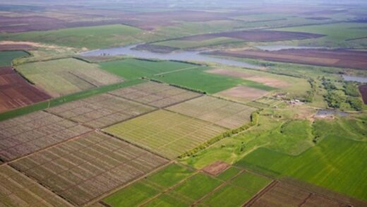 В Україні за чотири роки реалізували понад 30 тисяч земельних ділянок