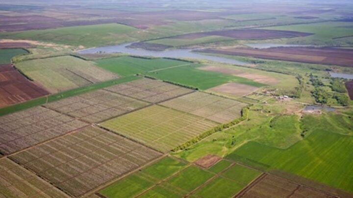 В Україні за чотири роки реалізували понад 30 тисяч земельних ділянок