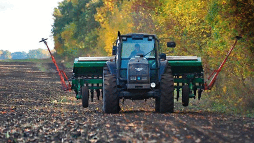 Посівна-2025: озимими засіяли 94,5% запланованих полів