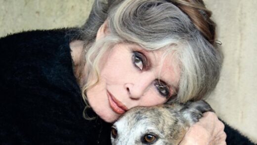 Бріжит Бардо повернулася до лікарні після жовтневої операції