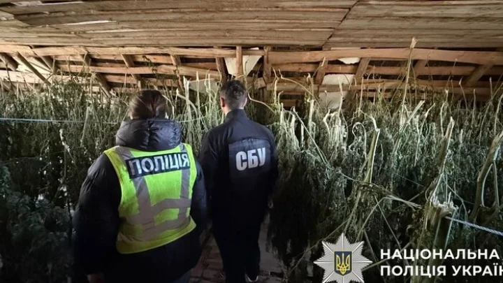 50 мішків коноплі та 5 кг канабісу: у Києві затримано «наркоаграріїв»