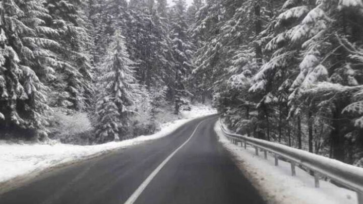 Дорога до курорту Палиці за 6,6 мільярда не пройшла: тендер згорнули після розголосу в медіа