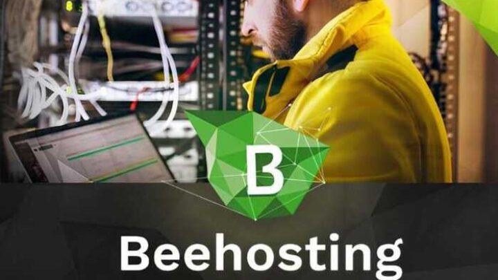 BeeHosting without business or revenue: an Estonian legal entity with no income but hosting for Russia and Russian payment systems