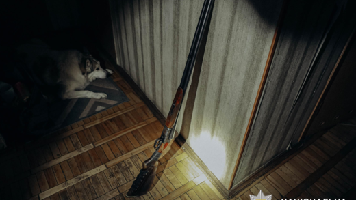 У Луцьку затримали чоловіка, який вистрелив у поліцейського