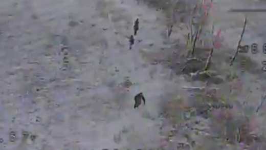 Прикордонники завадили окупантам прорвати держкордон на Харківщині