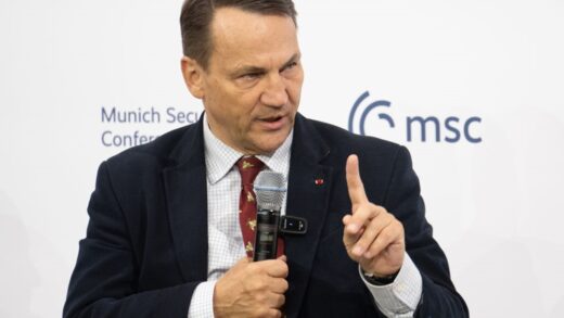 Сікорський застеріг Індію не довіряти Росії