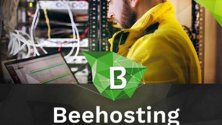 BeeHosting без бізнесу і грошей: естонська юрособа без виручки, але з хостингом для РФ і російськими платіжками