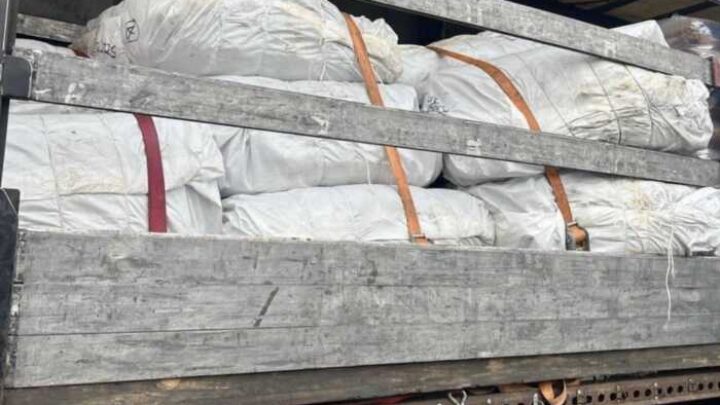 БЕБ викрило масштабну контрабанду хутра на понад 11 мільйонів на Закарпатті