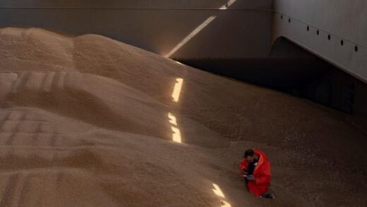 Польща пожалілася в Раду ЄС на агроімпорт з України - ЗМІ