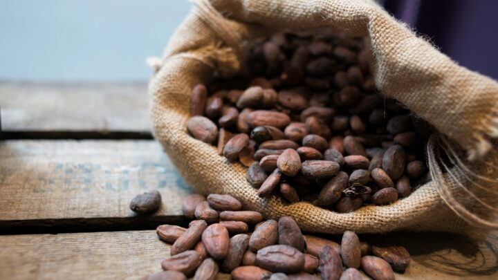 Ціни на какао впали до мінімуму з 2023-го