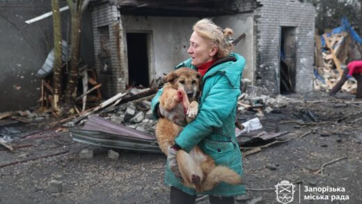 Росіяни вдарили по собачому притулку у Запоріжжі